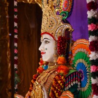 Daily Darshan